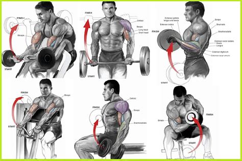 11 Different Arm Workouts With One Dumbbell Pictures Best Workout To