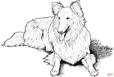 Lassie Coloring Pages Coloring Pages