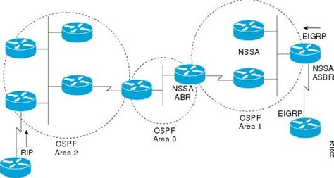 IP Routing OSPF Configuration Guide Configuring OSPF Cisco Cloud