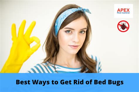 The Best Solutions For Getting Rid Of Bed Bugs