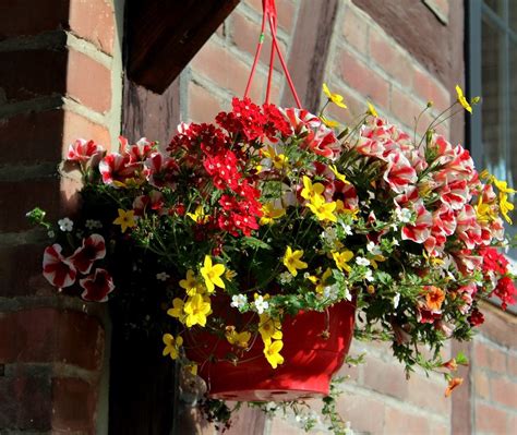 Molzberger in wissen, sieg ab. mai_22 | Garten Wissen