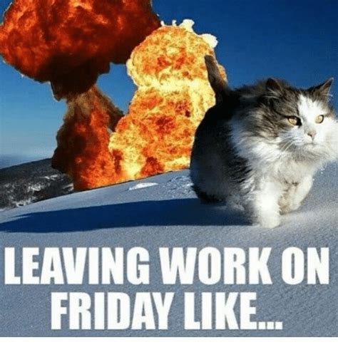 Leaving Work On Friday Like Meme Meme Walls