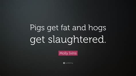 Molly Ivins Quote “pigs Get Fat And Hogs Get Slaughtered” 7