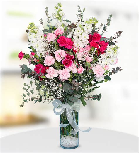 Send Flowers Turkey White Gillyflowers And Pink Carnations From 13usd