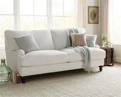 Delphine Sofa And Reviews Birch Lane Furniture Cheap Living Room