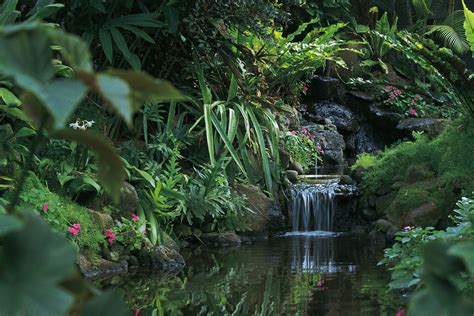 How To Make A Rainforest Collage Paisajes De La Selva