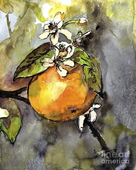 Orange Blossom Botanical Watercolor And Ink By Ginette Painting By