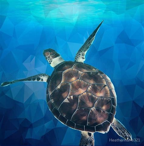 Sea Turtle Shades Of Blue Photographic Print By Heathermarie321