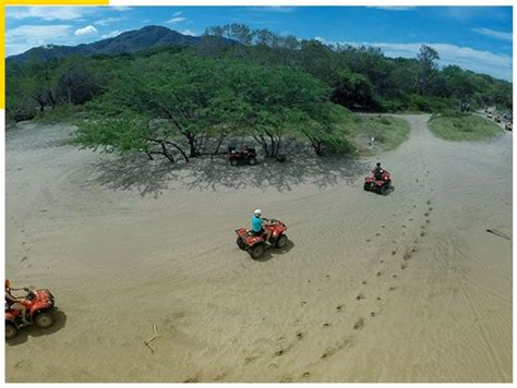 South Beach Snorkel Atv Tour Flamingo Adventures Tours