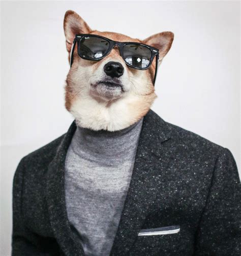 Menswear Dog The Most Stylish Dog In The World