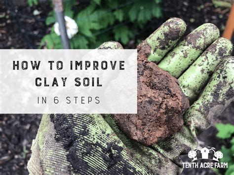 How To Improve Clay Soil In 6 Steps Tenth Acre Farm
