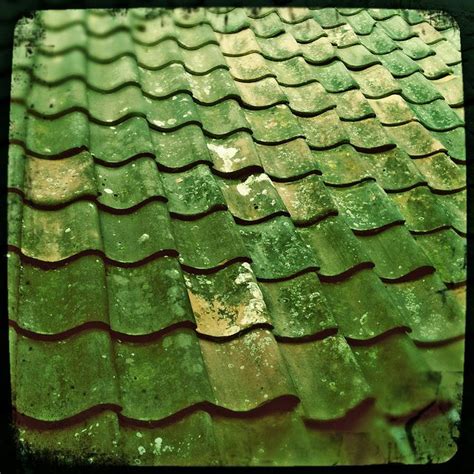 Roof Tiles Green Green Aesthetic Green Roof