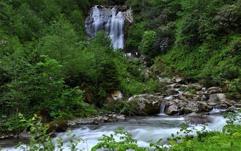 Waterfall On A Rocky River In The Green Forest Wallpaper Nature