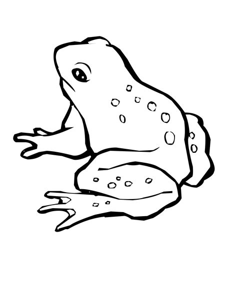 Swamp Animals Coloring Pages At Free Printable