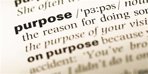 The Importance Of Purpose Driven Business Zeno Group