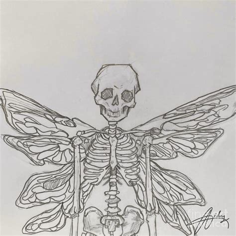 Skeleton Fairy Drawing By Lil Blumoon