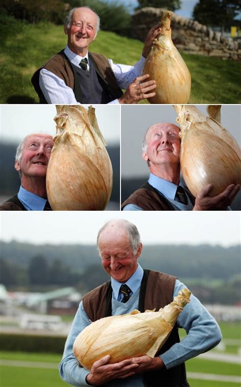 Also note that your image will automatically be converted into jpg for optimal compression. The Man Who Is So Happy With His Onion | Happy Photos ...