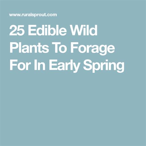 25 Edible Wild Plants To Forage For In Early Spring In 2021 Edible