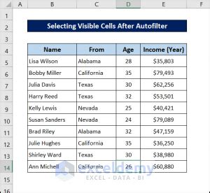 Excel VBA Select Visible Cells After Autofilter 4 Examples