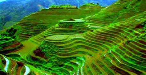 Banaue Rice Terraces See The Eighth Wonder Of The World