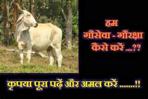 गौमाता ही भारत माँ की पहचान है हम गौ सेवा कैसे करें