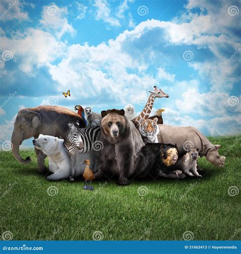 Zoo Animals Group Wallpapers Gallery