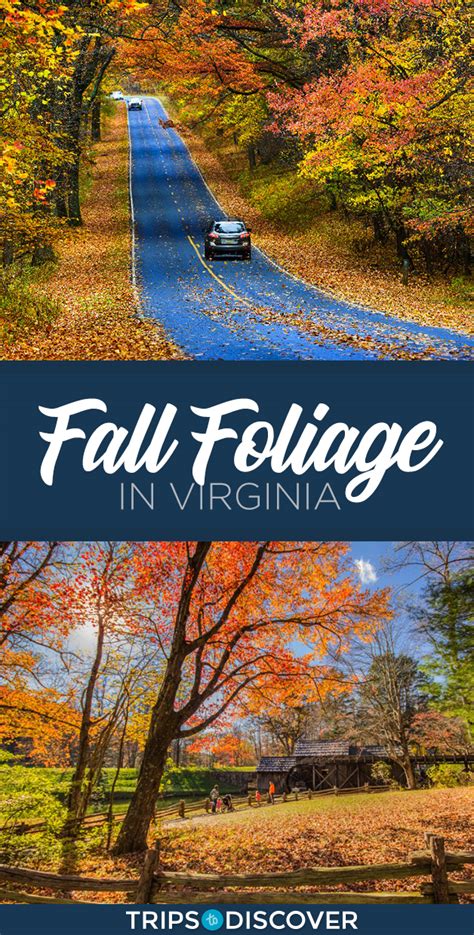 7 Best Places To See Fall Foliage In Virginia Trips To Discover