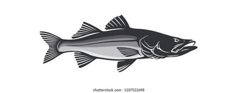 Snapper Fish Over 3286 Royalty Free Licensable Stock Vectors And Vector
