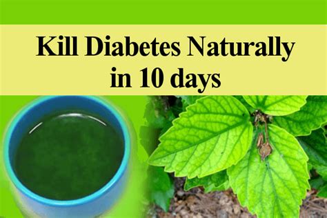 How To Cure Diabetes Naturally At Home Just In 10 Days Right Home