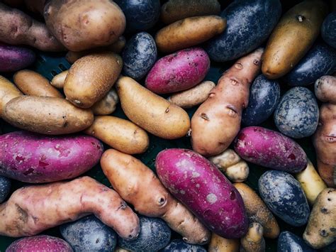 The Best Sweet Potatoes To Grow Hgtv