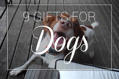 9 Ts For Dogs And Dog Lovers Cushion Source Blog
