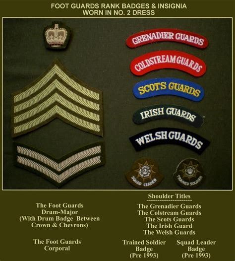 Badge19 Army Badge