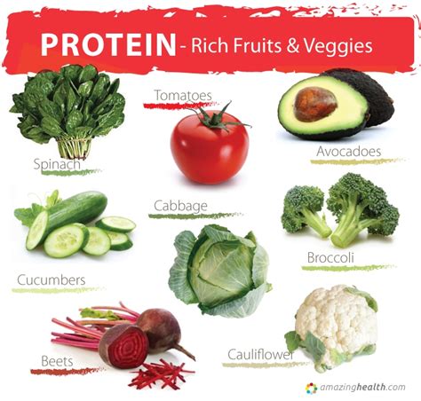 Eggs also are rich in biotin, which helps improve protein absorption. Protein in the Vegan Diet | Unrefined grains, legumes ...