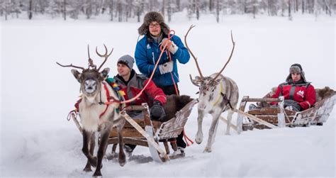 Reindeer Safaris In Rovaniemi In Lapland Finland Reindeer Farm Of