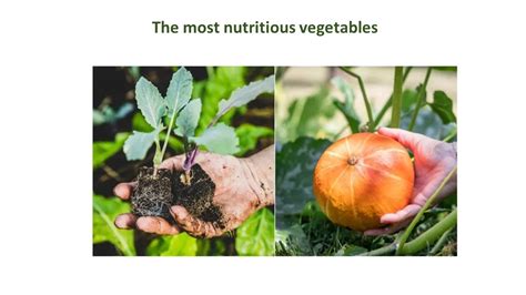 The Most Nutritious Vegetables