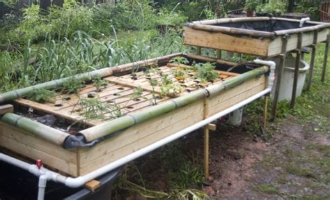 It is obvious that people are taking to farming in general as a hobby, specialty, or even as occupation. Backyard Fish Farming Tanks — Fredericbye Home Decor ...