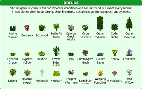 Shrubs Plant Mega Pack Wiki Fandom Powered By Wikia