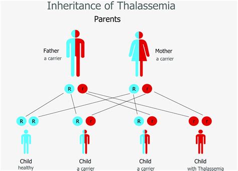 Alpha And Beta Thalassemia Mbbs Medicine Humanity First Important