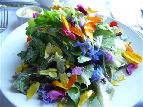 Flowers are part of many regional cuisines, including asian, european, and middle eastern cuisines. Vegetables