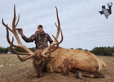 November 17 2022 Record Class Elk Hunting — Texas Hunt Lodge