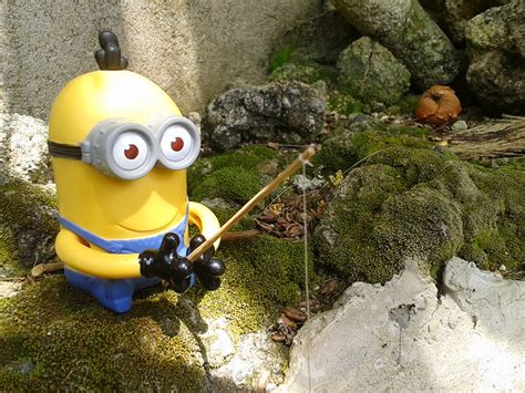 Minion Fishing 2 Flickr Photo Sharing