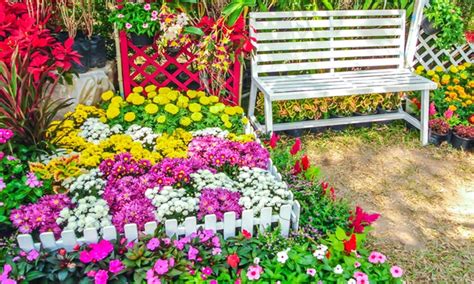 Instant Flower Bed Roll Out Seed Mats 3 Pack Groupon