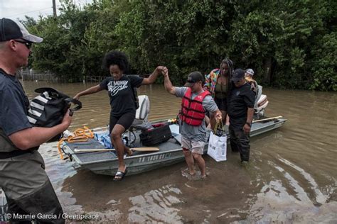 Hurricane Harvey Flooding Rescues Near Katy Texas Greenpeace Usa