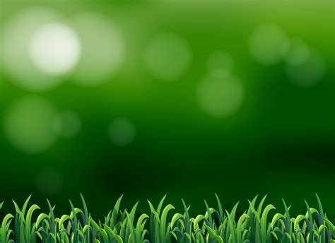 A Grass On Blur Background Download Free Vectors