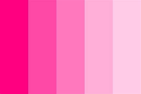 Pin By Mari V On Fashion⚡️ Color Palette Pink Pink Palette Pink