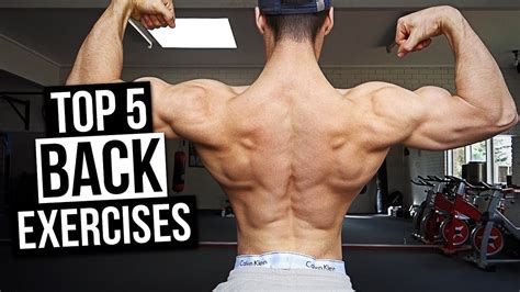 Top 5 Back Exercises You Should Be Doing Youtube