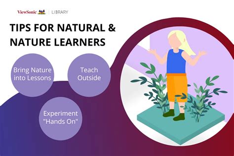 The 8 Learning Styles Viewsonic Library