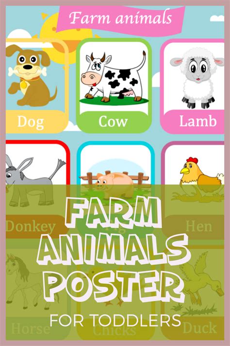 Farm Animals Poster Preschool Tracing Kindergarten Activities