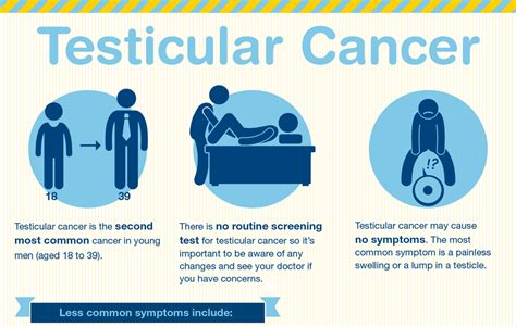Testicular Cancer What Are The Symptoms Cancer Council Nsw