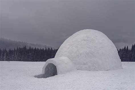 Royalty Free Igloo Pictures Images And Stock Photos Istock